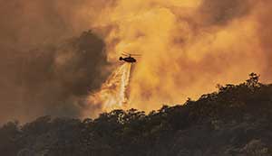 Incendies dans le Var : la Carac se mobilise pour soutenir ses adhérents